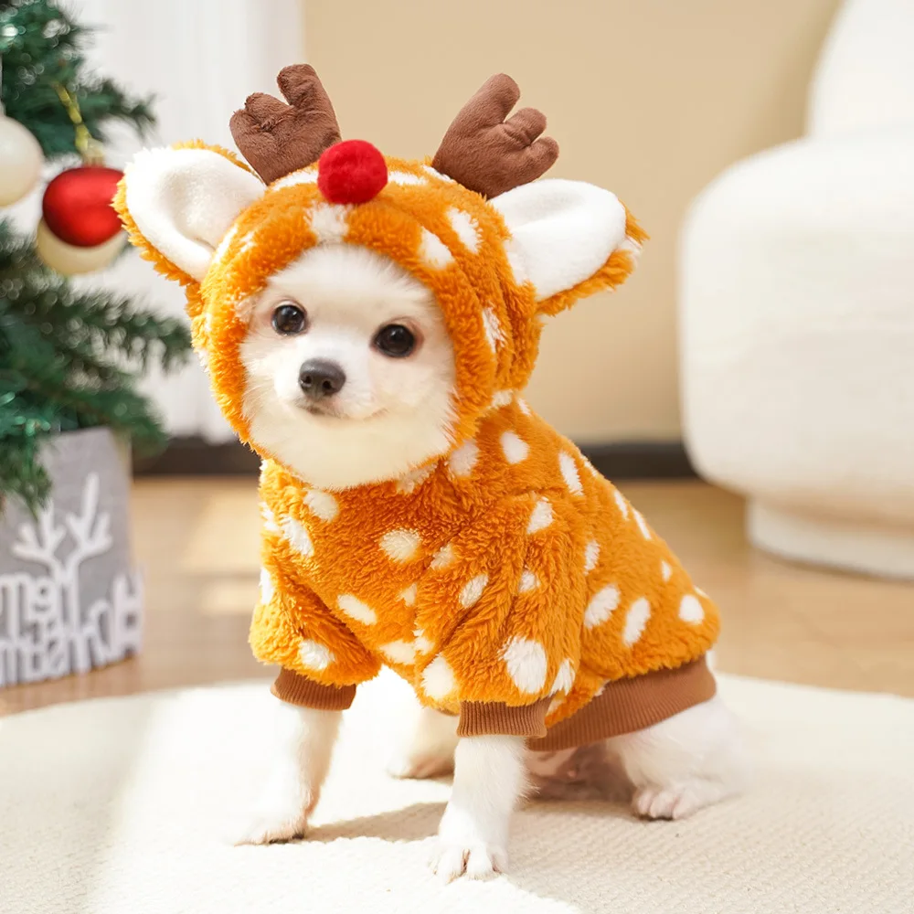 Schattige kerstkleding voor hu - Winter Clothing Must Haves recensie en prijs